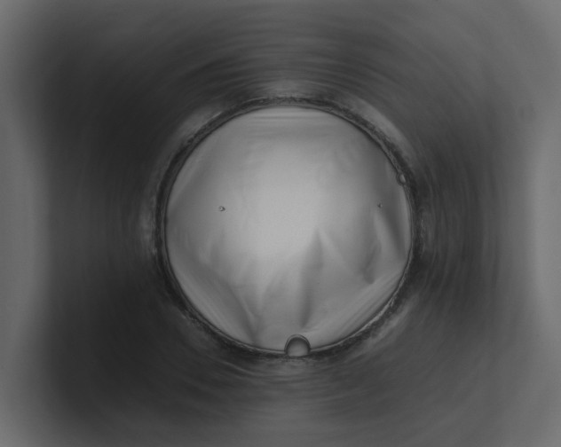 X0000101100930200807101444