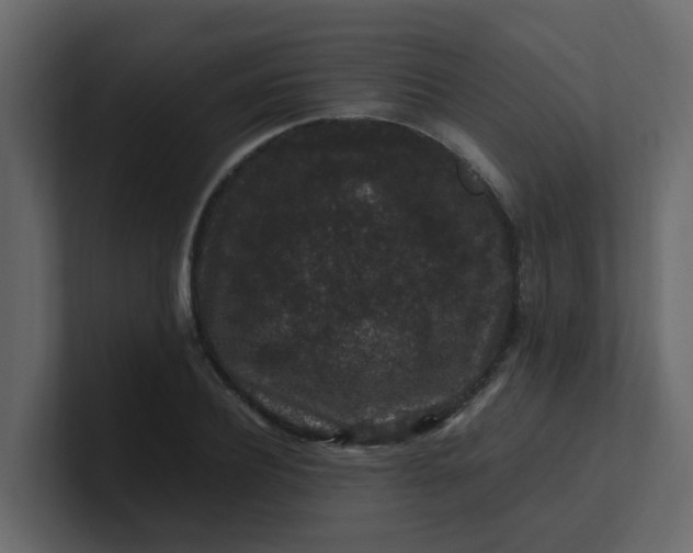 X0000101100932200807101444