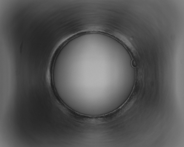 X0000101100936200807101444