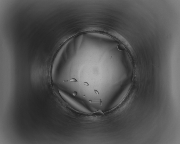 X0000101100937200807101444