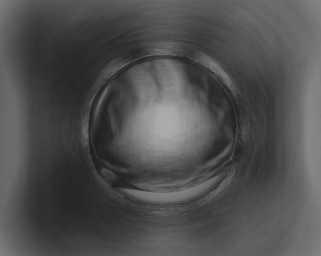 X0000101100938200807101444