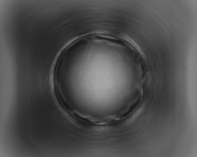 X0000101100939200807101444