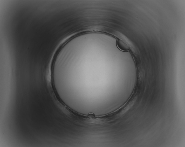 X0000101100940200807101444