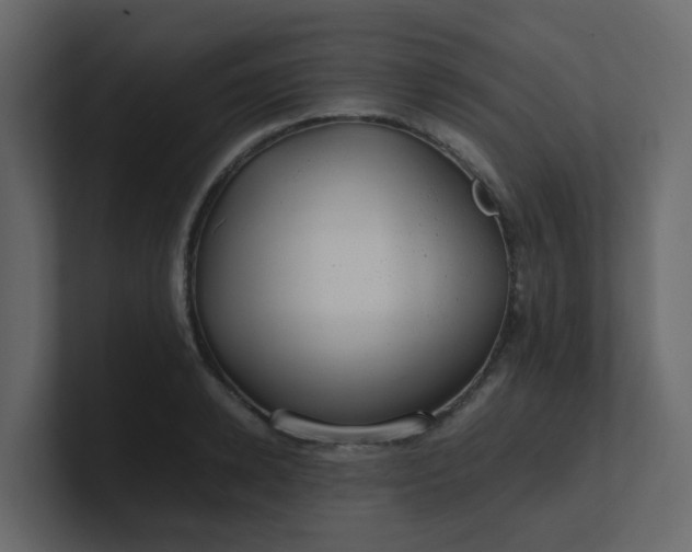 X0000101100942200807101444