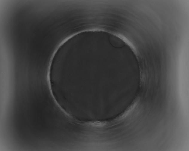 X0000101100943200807101444