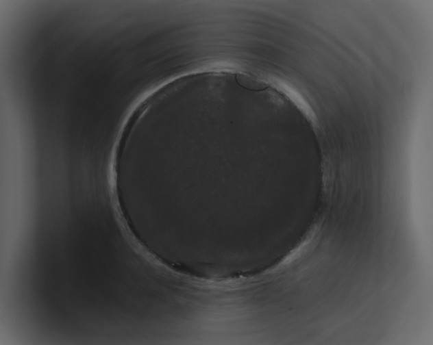 X0000101100944200807101444