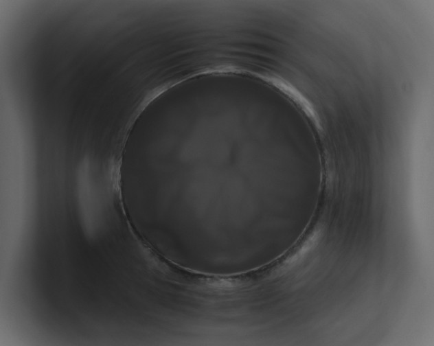 X0000101100945200807101444