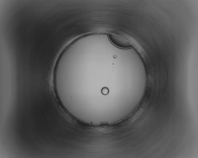 X0000101100948200807101444