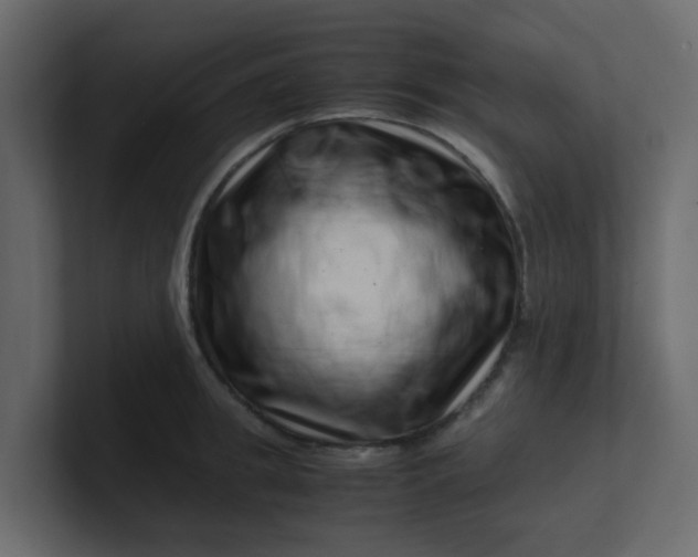 X0000101100949200807101444