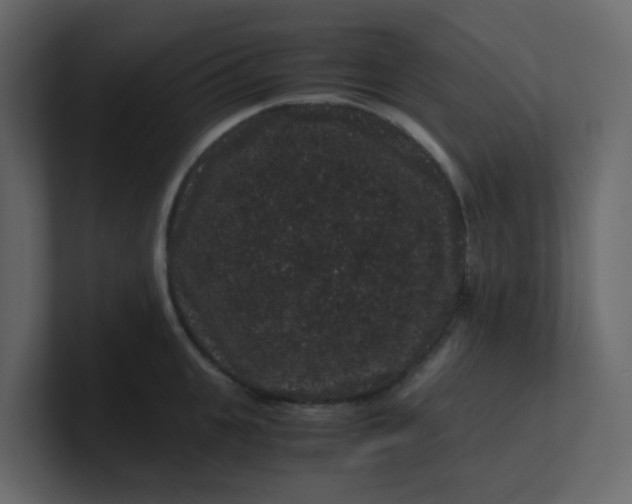 X0000101100951200807101444