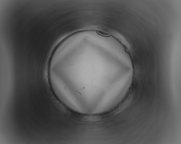 X0000101100952200807101444