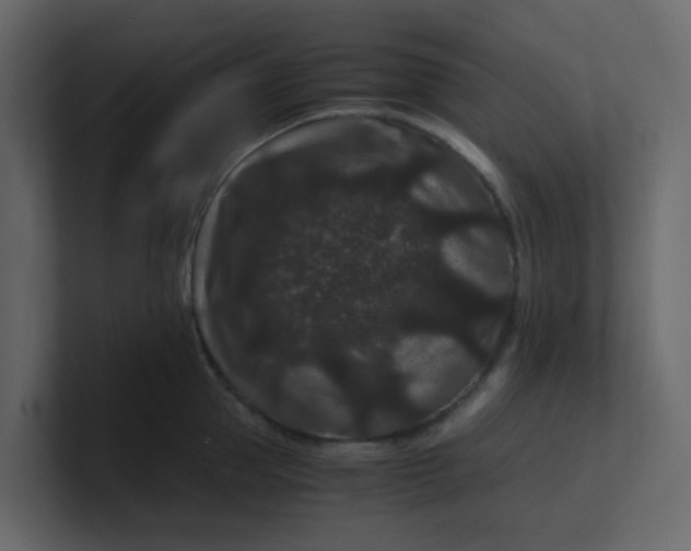 X0000101100953200807101444