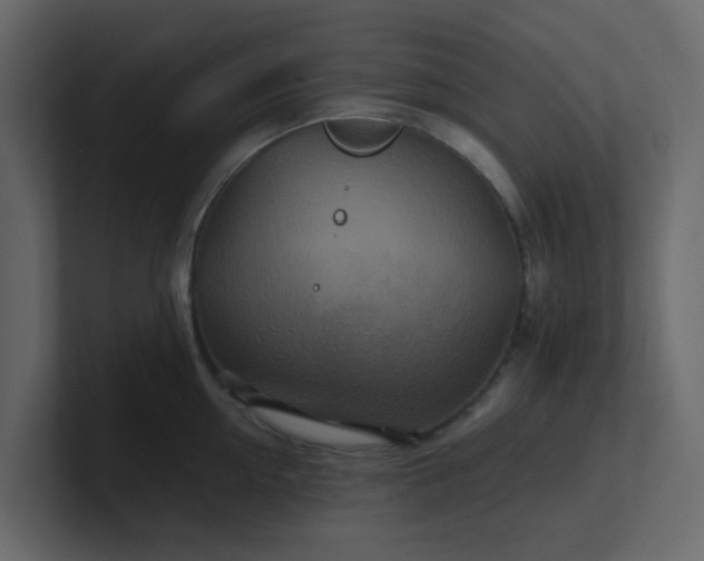 X0000101100954200807101444