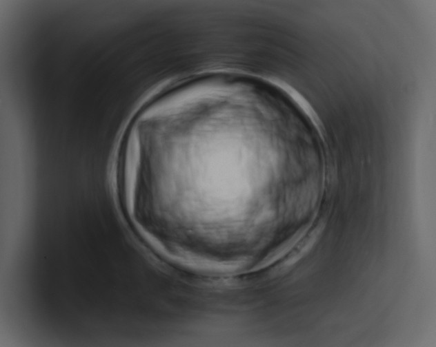 X0000101100957200807101444