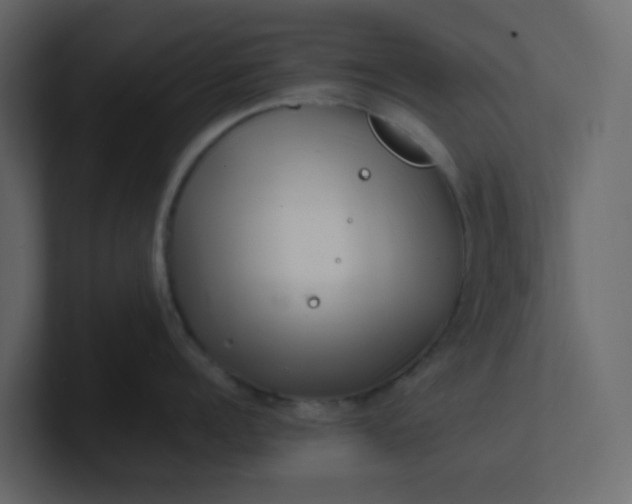 X0000101100960200807101444