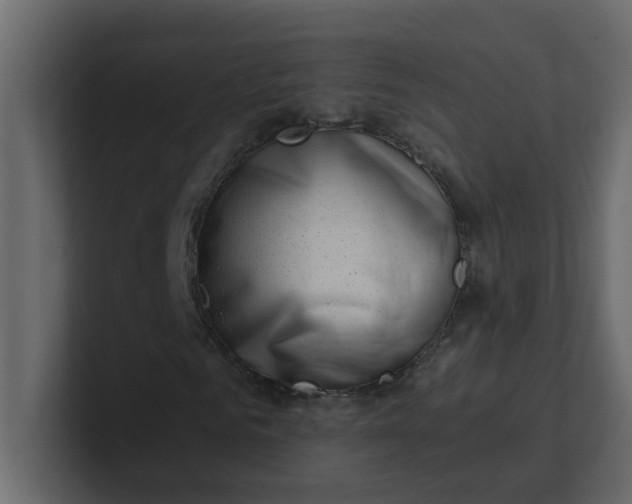 X0000101100961200807101444