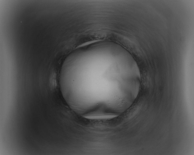 X0000101100962200807101444