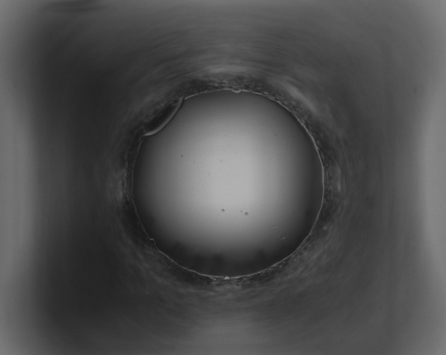 X0000101100965200807101444