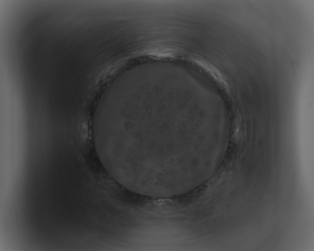 X0000101100966200807101444