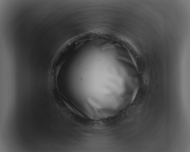 X0000101100968200807101444