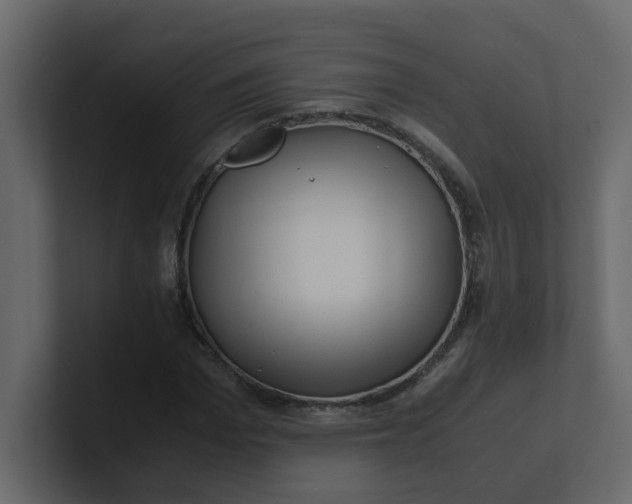 X0000101100969200807101444