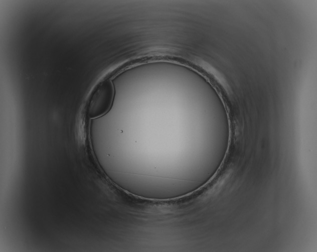 X0000101100973200807101444