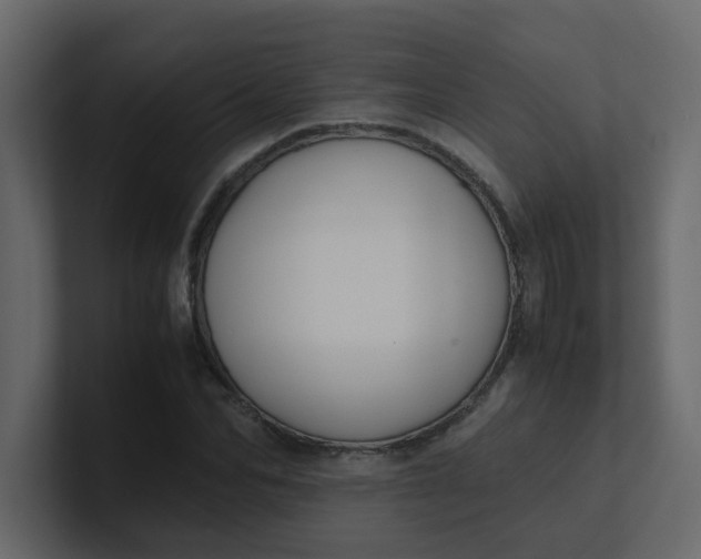X0000101100974200807101444