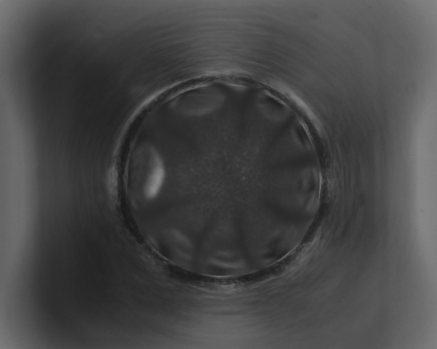 X0000101100975200807101444