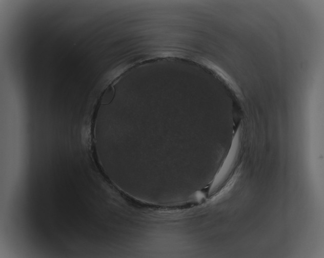 X0000101100977200807101444