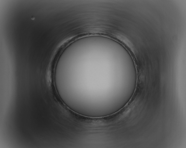 X0000101100979200807101444