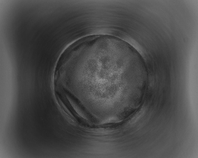 X0000101100980200807101444