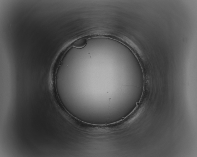 X0000101100981200807101444