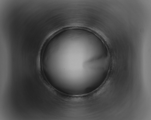 X0000101100982200807101443