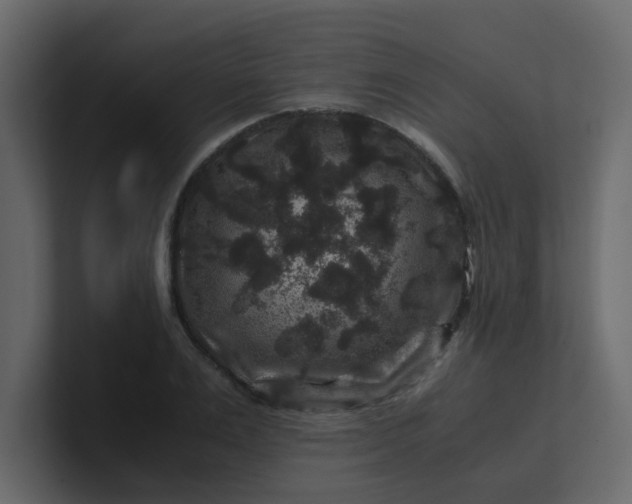 X0000101100983200807101443