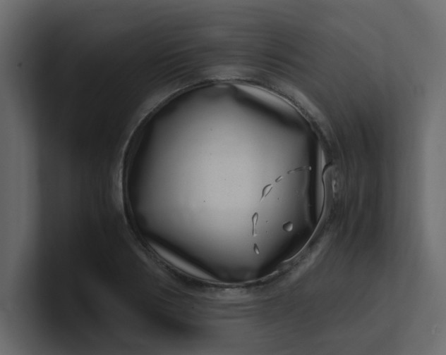 X0000101100986200807101443