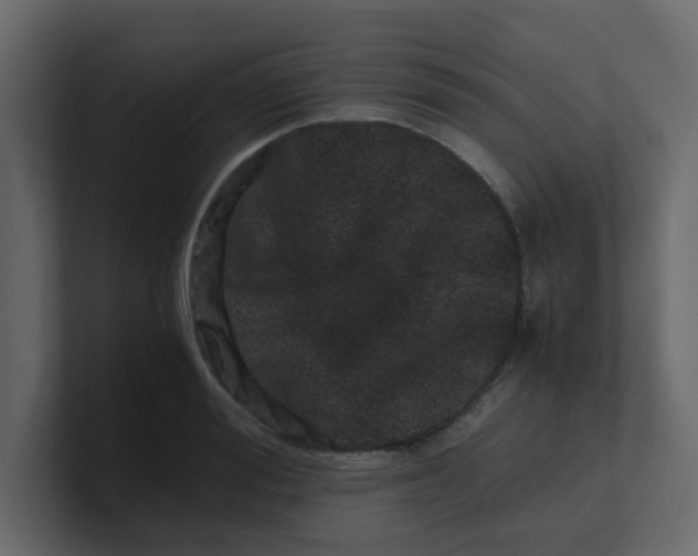 X0000101100988200807101443