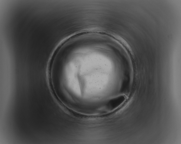 X0000101100989200807101443