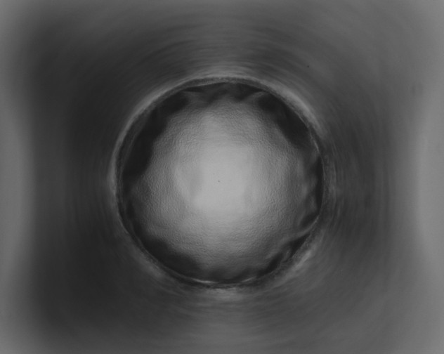 X0000101100990200807101443