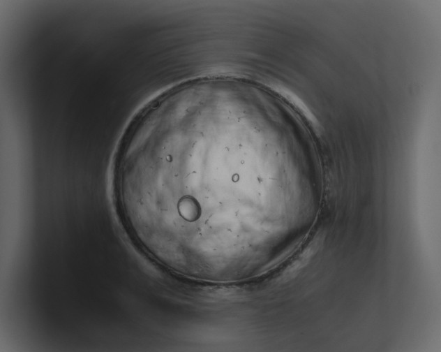 X0000101100991200807101443