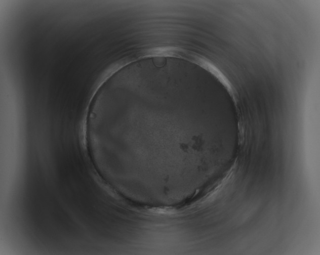 X0000101100994200807101443