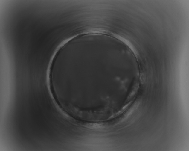 X0000101100995200807101443