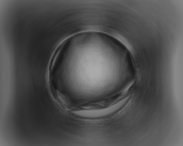 X0000101100996200807101443