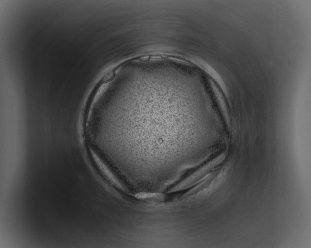 X0000101100997200807101443