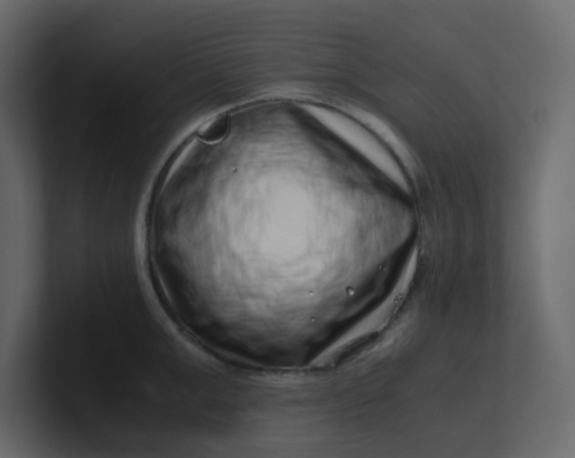 X0000101100999200807101443