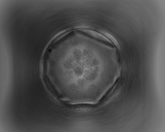 X0000101101000200807101443