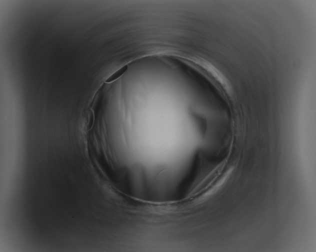 X0000101101001200807101443