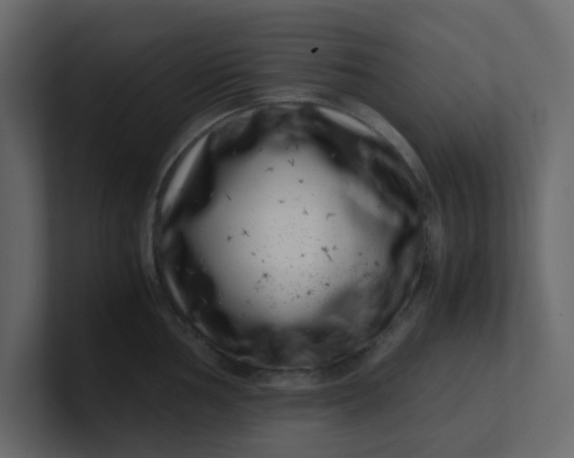 X0000101101002200807101443
