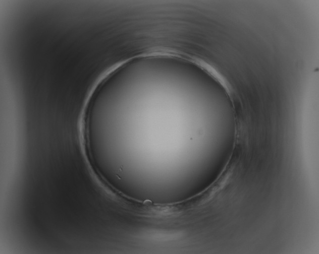 X0000101101003200807101443