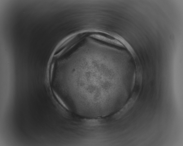 X0000101101004200807101443