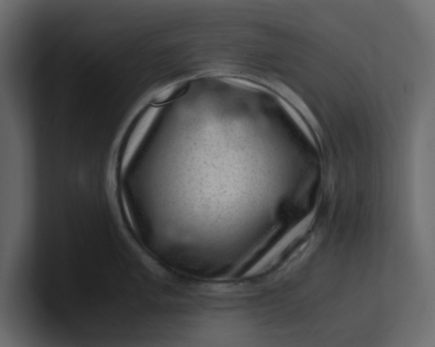 X0000101101005200807101443